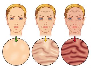 phase of the aging of the skin